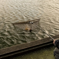 OMC The Black Pearl Landing Net 42inch